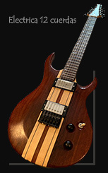 Electrica 12 cuerdas
